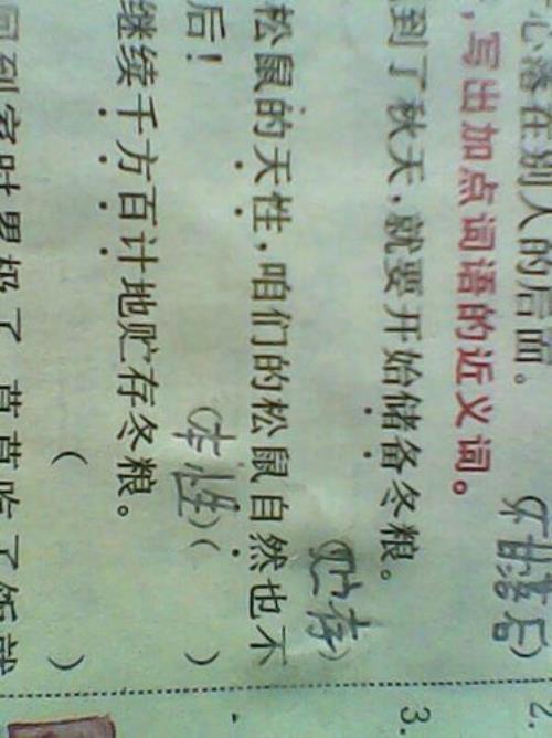 信任的近义词是啥