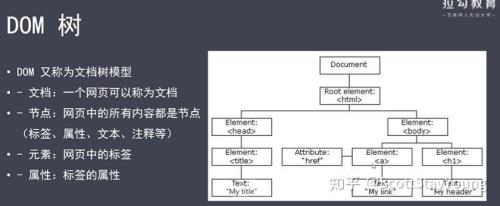 顶级dom是什么意思