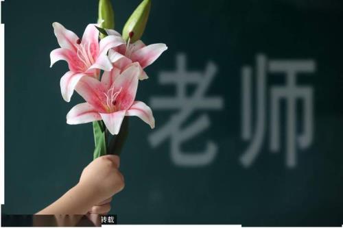 敬念师恩是什么意思