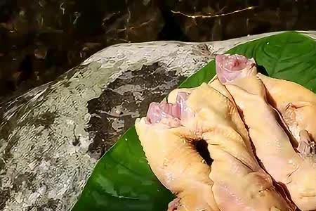 啥野物只吃鸡头