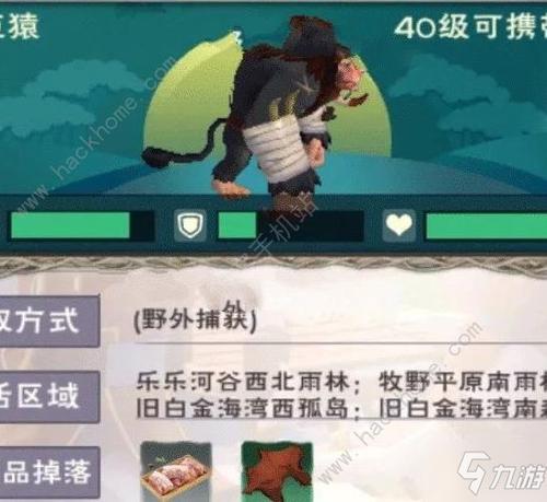 创造与魔法小鸟饲料保底多少包2021