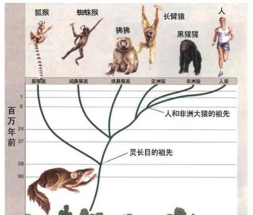 到底是祖仙还是祖先