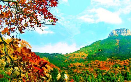 枣庄60岁以上免票景点