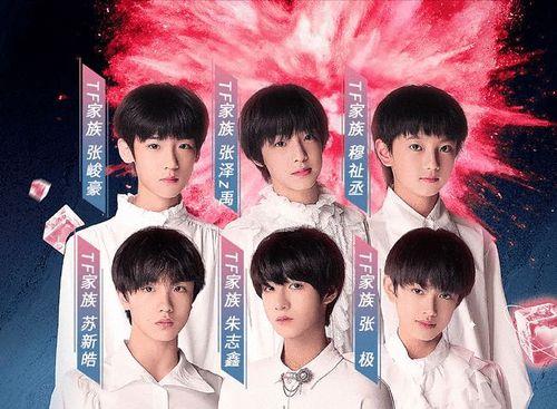 苹果手机tf家族怎么登录
