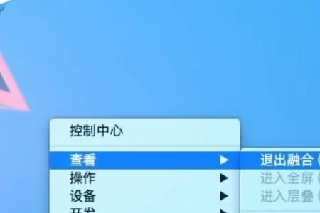 苹果双系统分区后windows进不去