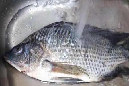 去鱼腥味清洗用什么粉最快