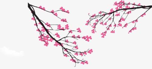七夕节会有梅花吗