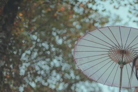 泽畔东篱是什么意思
