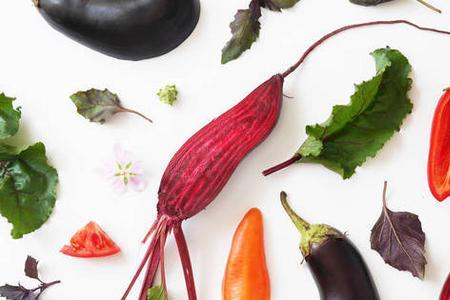 辣椒和茄子可以嫁接吗