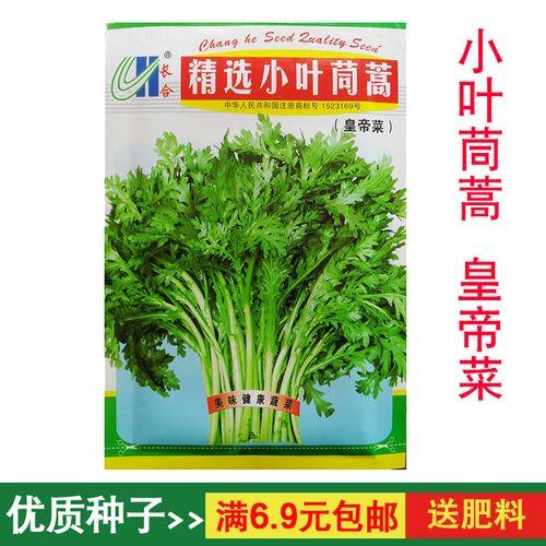 大连地区茼蒿什么时候播种最好