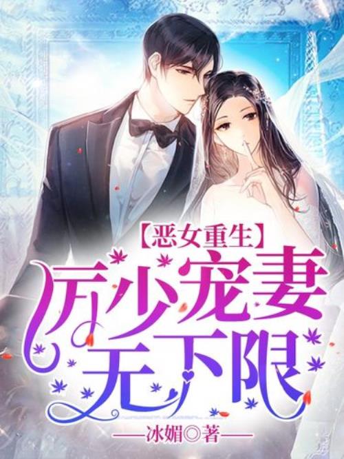 厉夜爵纪晓曦的小说名
