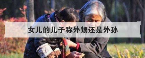 应该怎么称呼外甥的媳妇