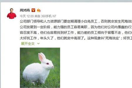 白兔效应什么意思