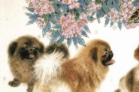 顺是什么生肖
