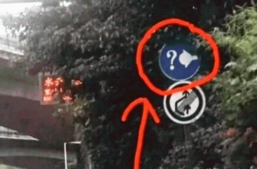 倒立的问号什么意思