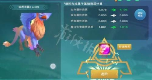 创造与魔法融合宠物哪个好