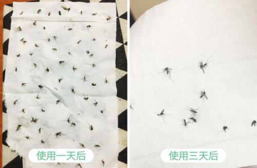 开空调苍蝇就不会乱飞吗