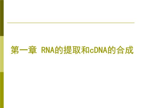 RNA检测是什么