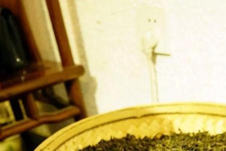 铁观音蒸茶和煮茶的区别