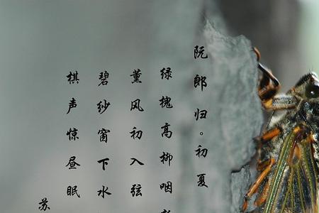 生命在蝉鸣蛙噪中翕动的意思