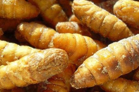 茧蛹冻了后里面黑了还能吃吗