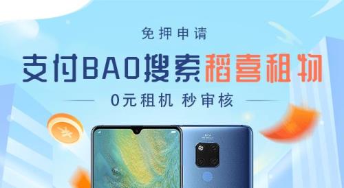稻喜租物审核要多久