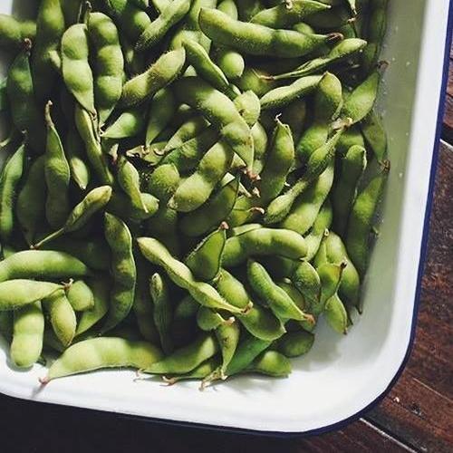 黄豆角没有籽什么原因