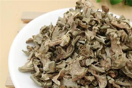 仙人掌熬水熬多久