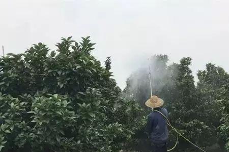 刚抽出的井水用来喷药可以吗
