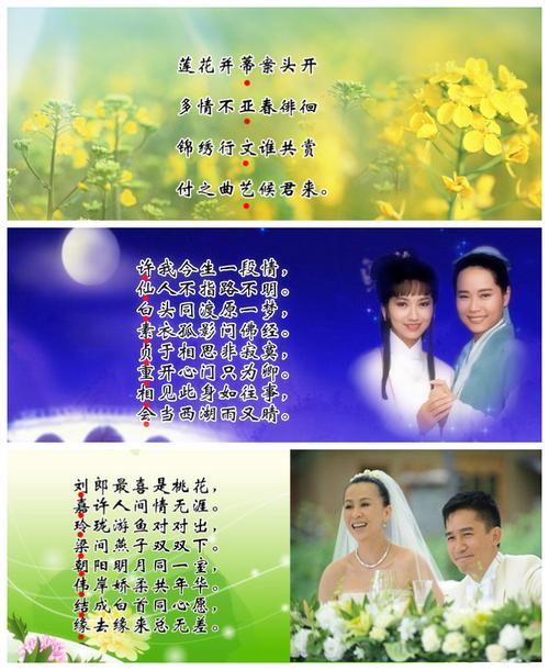 理解情人的古诗词