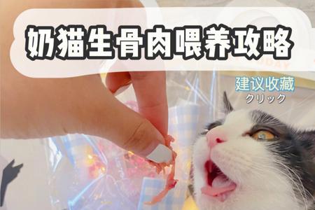 为什么兽医不让猫吃生骨肉