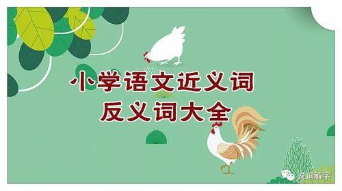 不对付的近义词