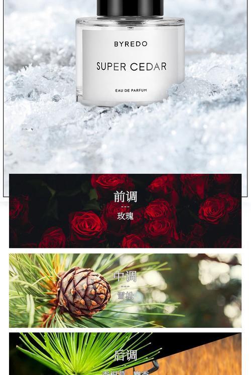 无人区玫瑰是沙龙还是商业