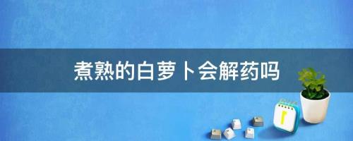 萝卜药丸了写的全部小说