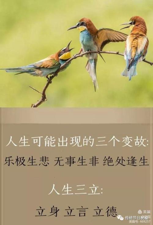 阴奉阳违近义词是说三道四