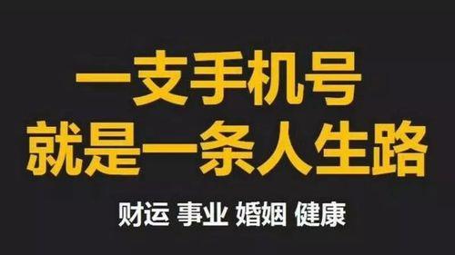 什么数字代表多子多孙