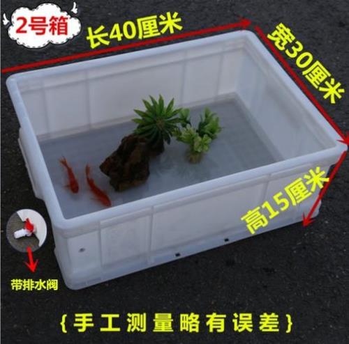 40cm缸能养几只龟
