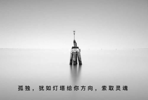 人在孤独的时候才发朋友圈吧