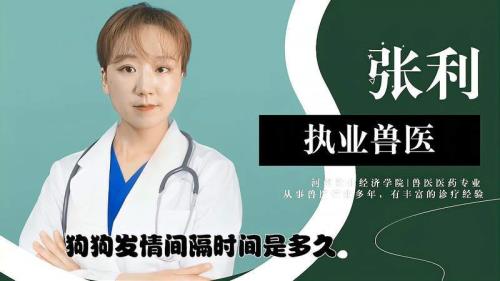 发视频间隔多久比较好