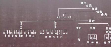 姓氏分支是什么意思