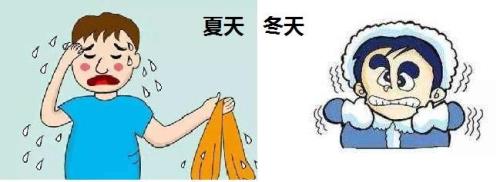 为什么男女感知温度不一样