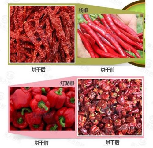 烘干青辣椒的市场行情