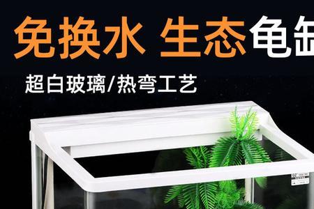 乌龟从鱼缸里出来会去哪里