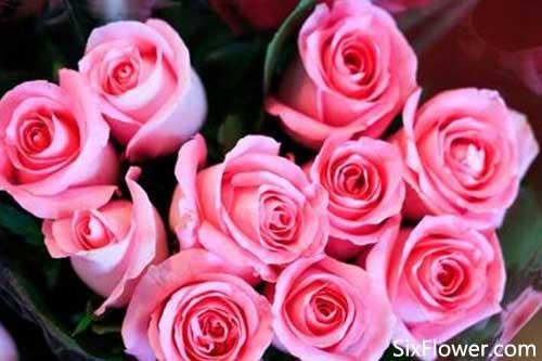 6朵花代表什么意思