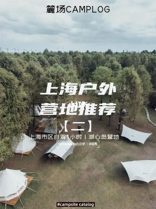 为什么营地好友不见了