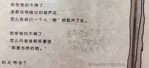 自言自语和奇怪造句