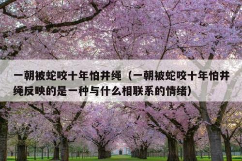 蛇像什么比喻句