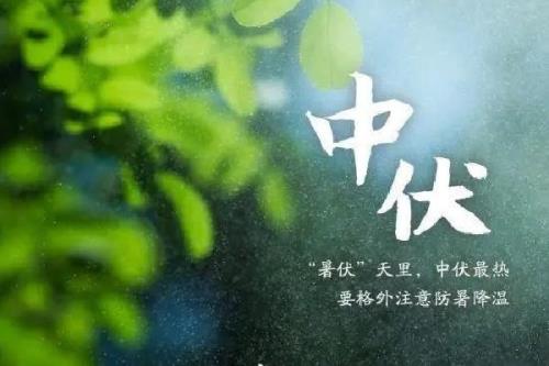 22年7月14是中伏几号是三伏