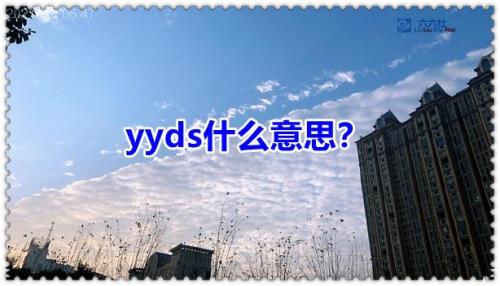 a表是什么意思网络用语