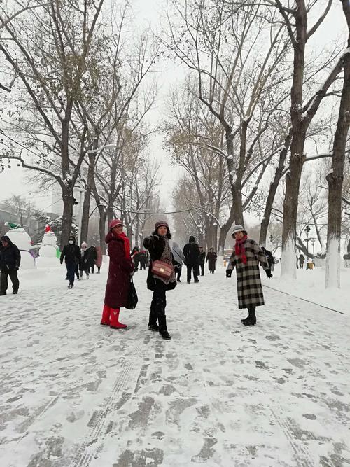 大雪纷纷的意思